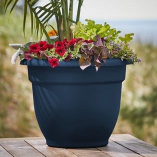 Bloem Ariana 16" Self-Watering Plastic Planter - Rolled Rim Indoor/outdoor Garden Pot, Navy