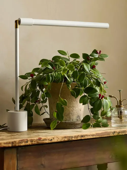 Soltech Tabletop LED Grow Light