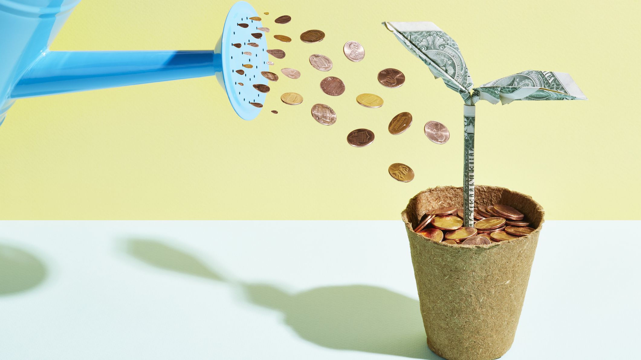 money in a pot growing