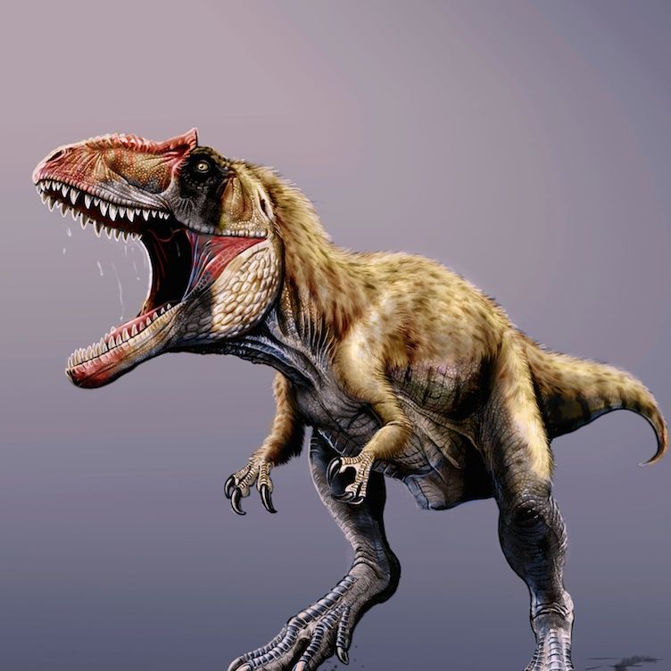 Meet the Gigantic Carnivore That Kept T. Rex Down | Live Science