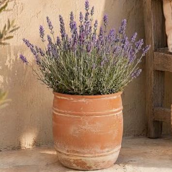 Yatddes 11" H X 9.5" Dia Aged Terracotta Planter Pot With Drainage Hole