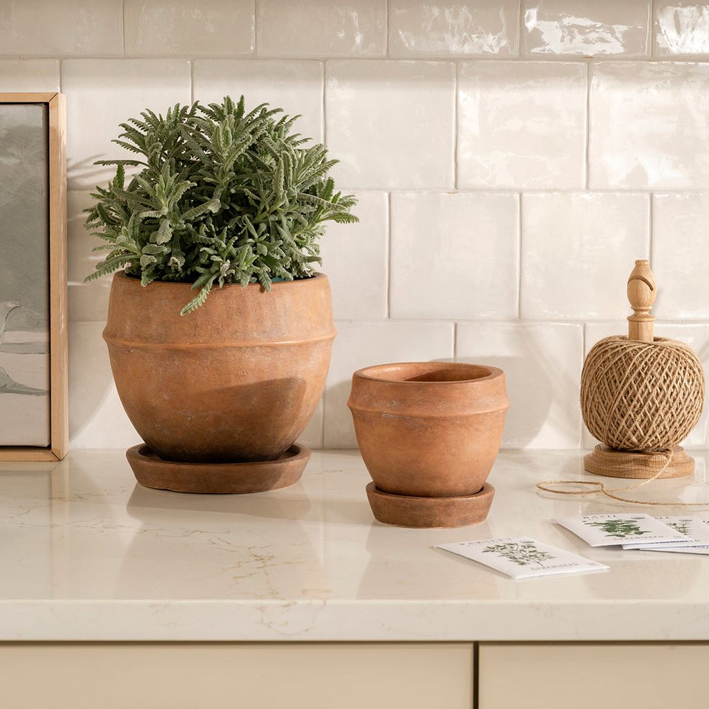 Vichy Terracotta Planter