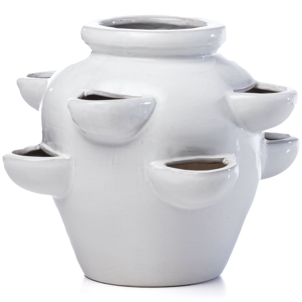 World Menagerie Seo 8 Pocket Strawberry Ceramic Pot Planter &amp;amp; Reviews | Wayfair