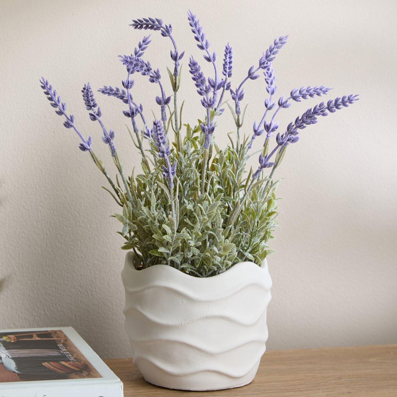 33cm Lavender in Wavy Cement Pot - Green/purple