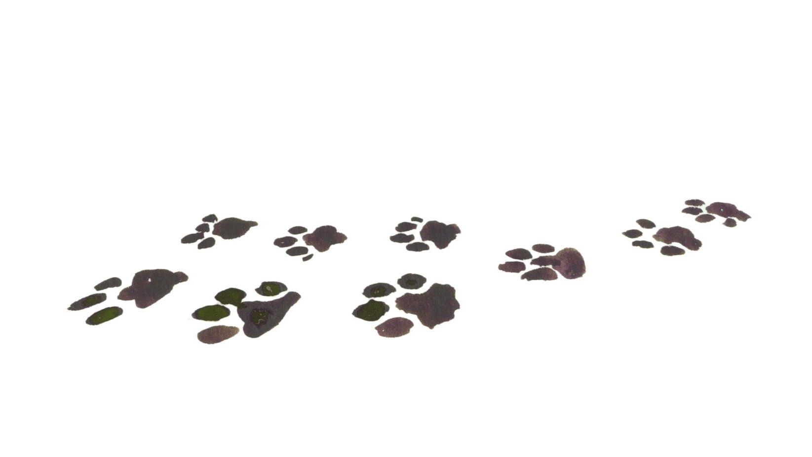 Manolo Blahnik's favourite things