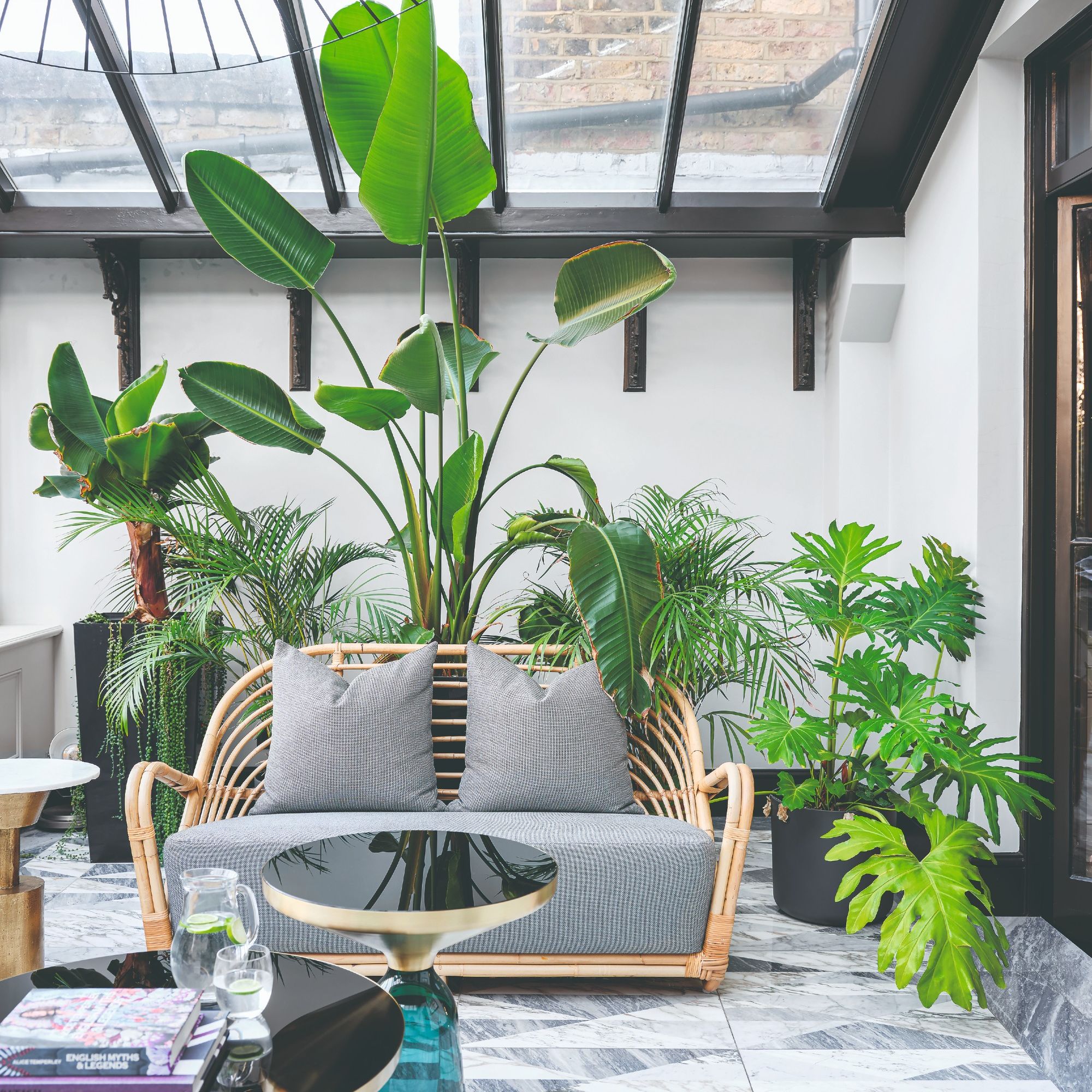 A conservatory filled with large plants and a rattan two-seater sofa with grey upholstery