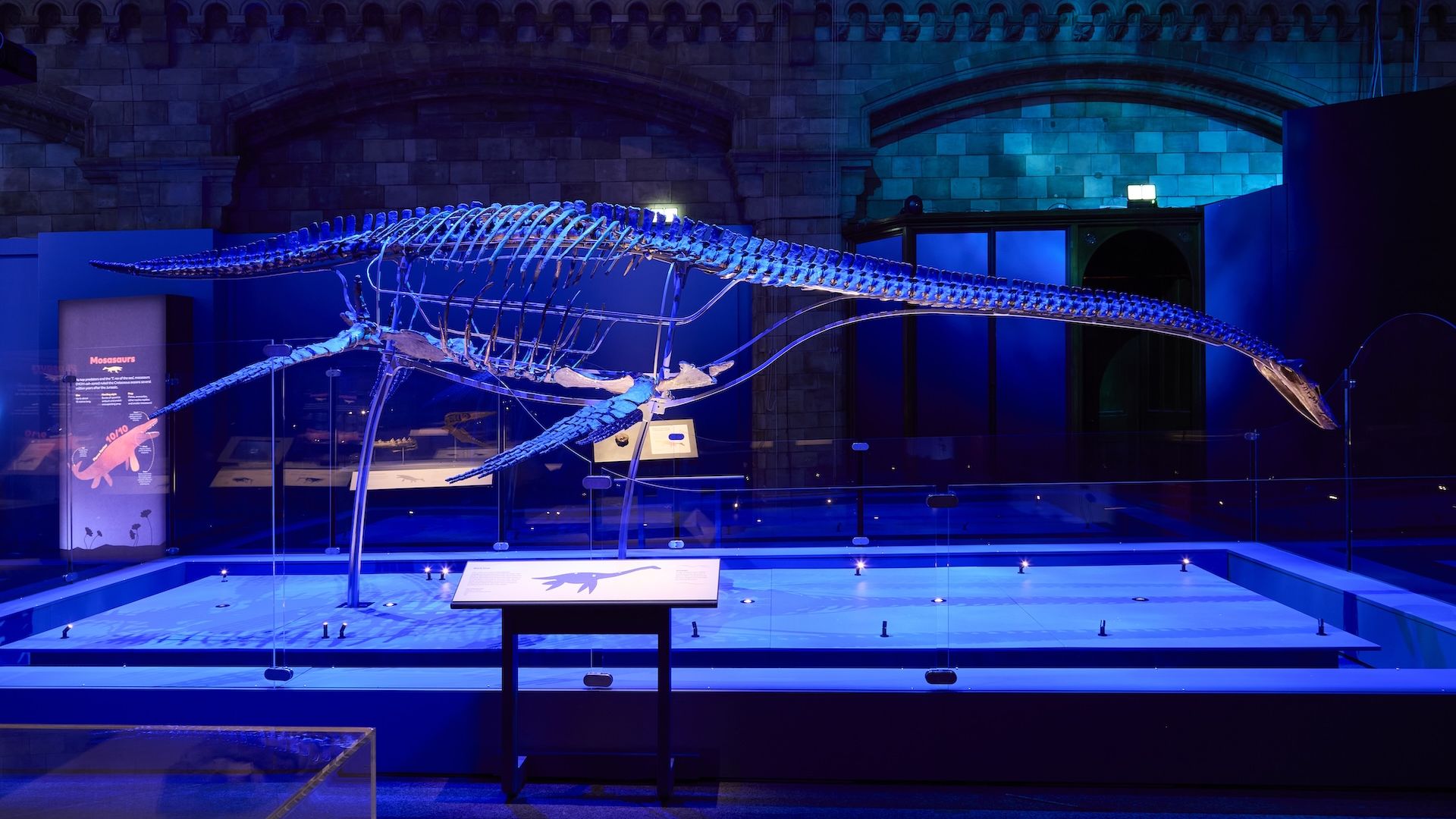 Natural History Museum