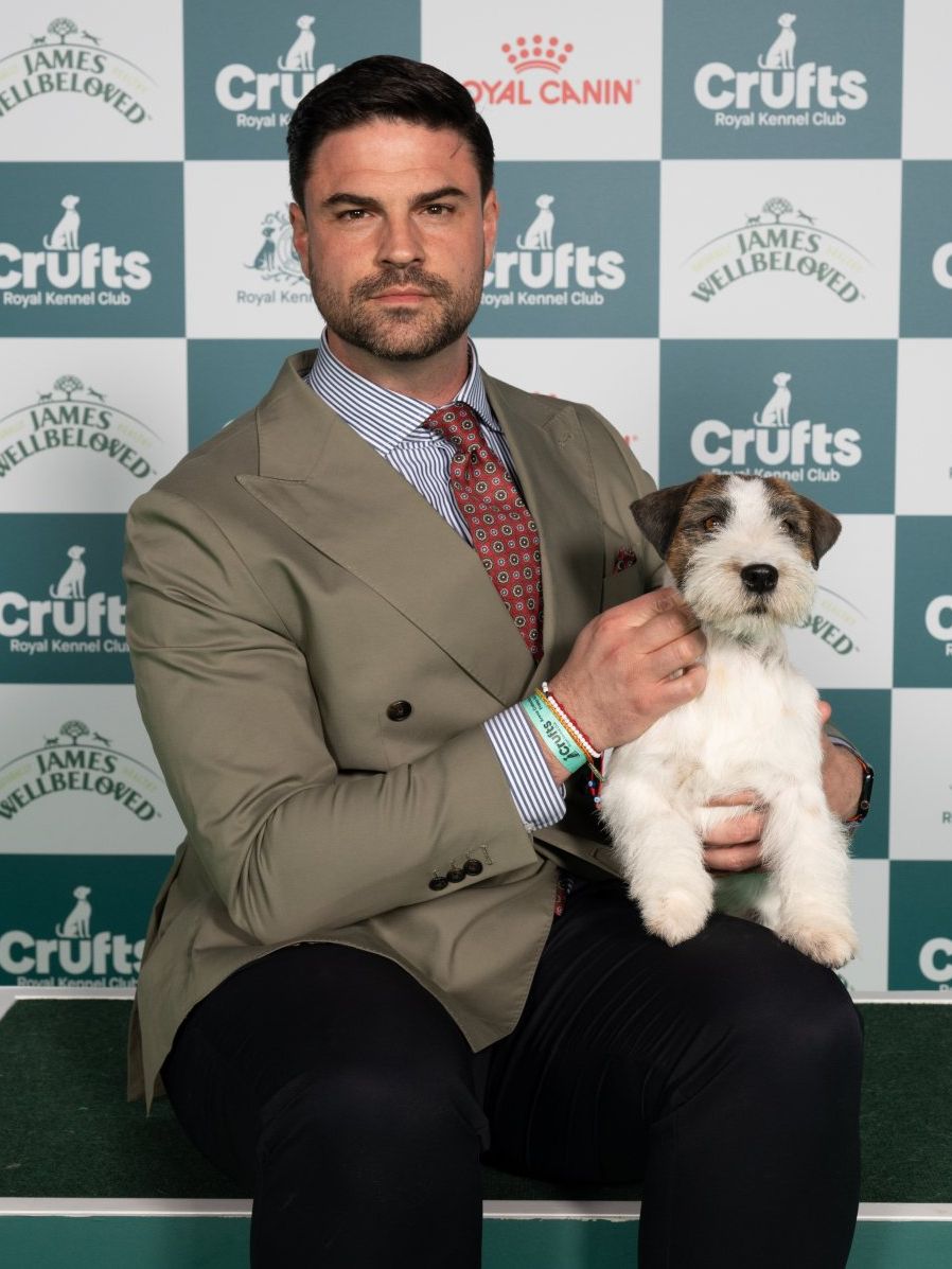 Elvis the Jack Russell terrier