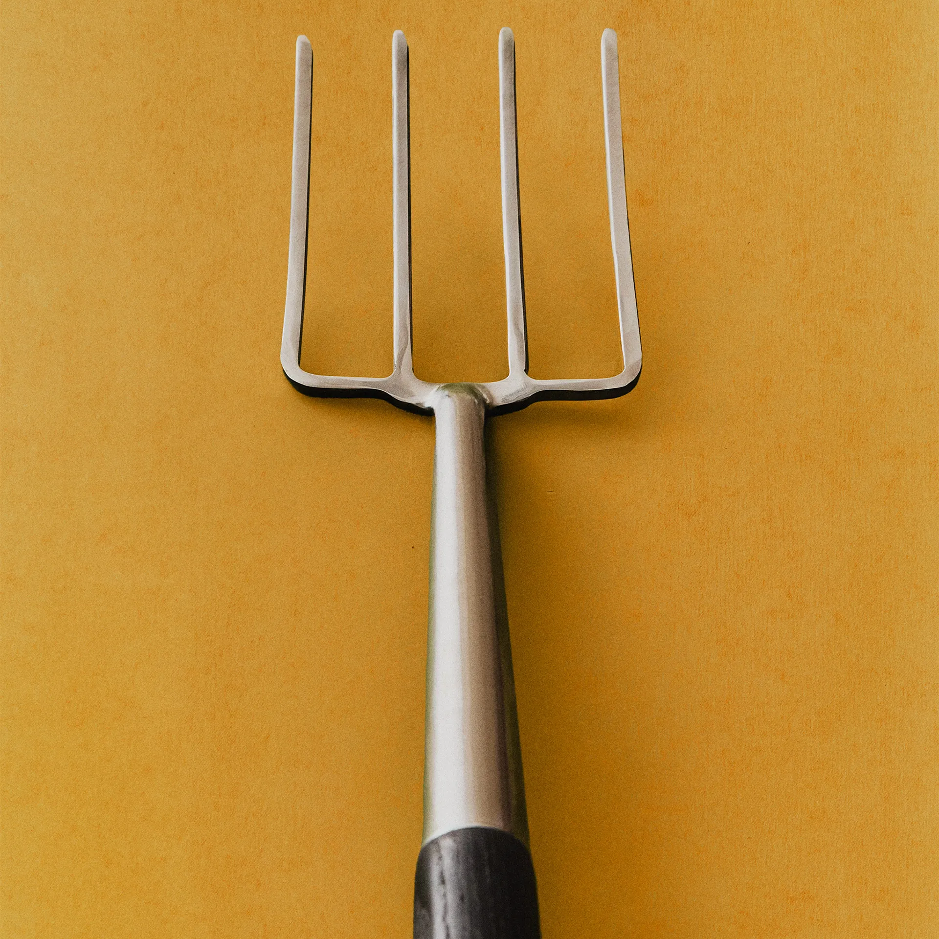 Garden Fork