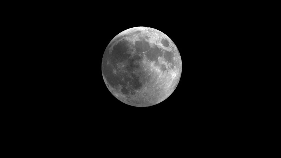 DARK MOON dark moon ジャカ qBCdMf2zCXs8PLWanqsp2K.jpg