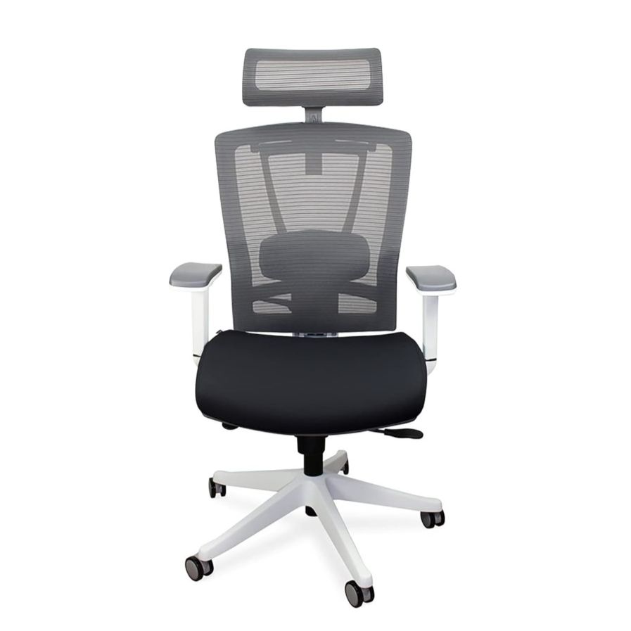 Autonomous ErgoChair Pro