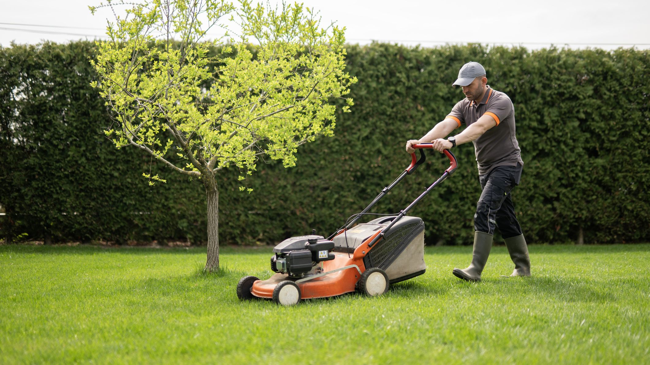 Gardener using lawn mower to maintain neat and healthy grass in backyard.