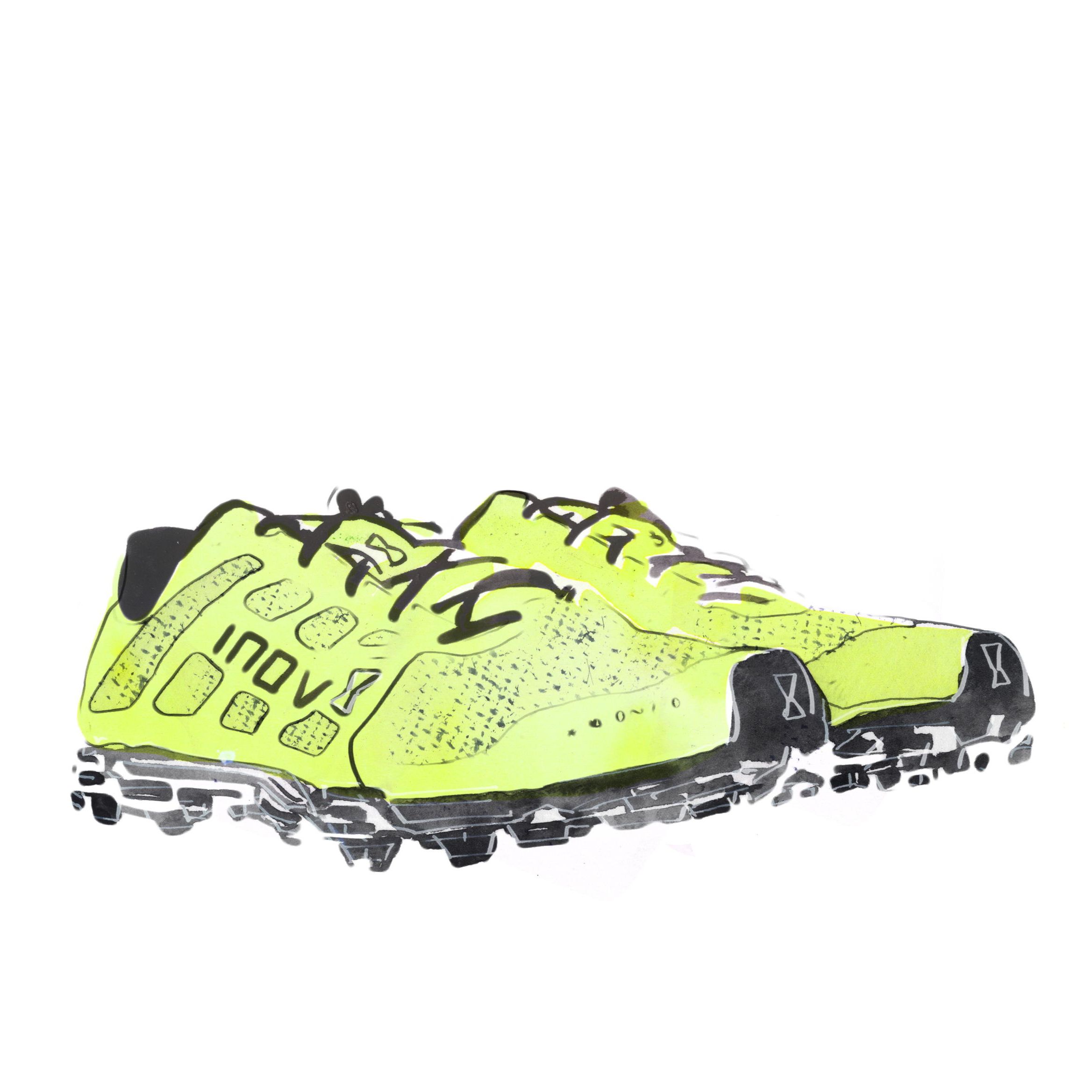 James Middleton's favourite things illustrations