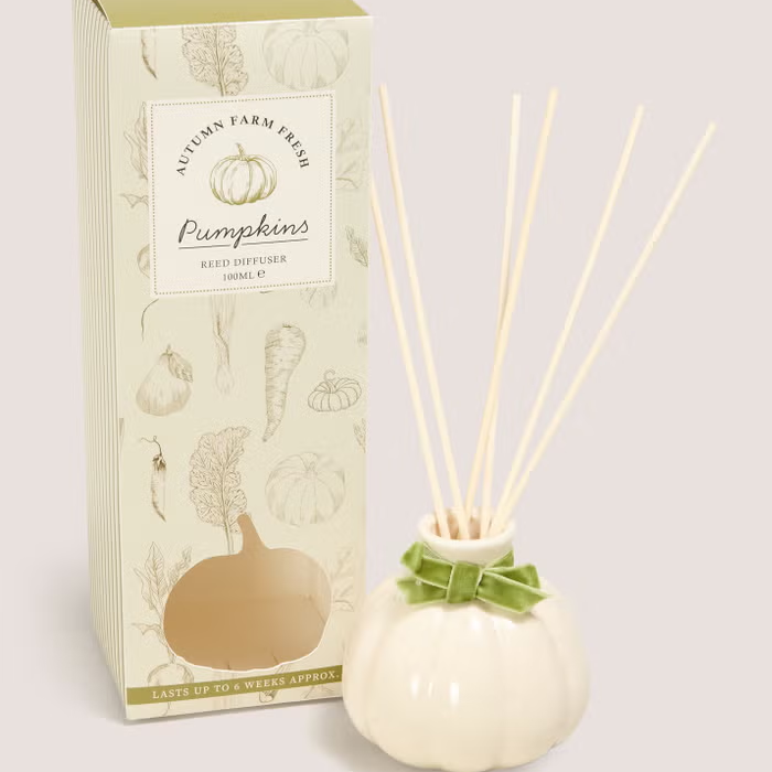 Cream Speckled Pumpkin 100ml Diffuser