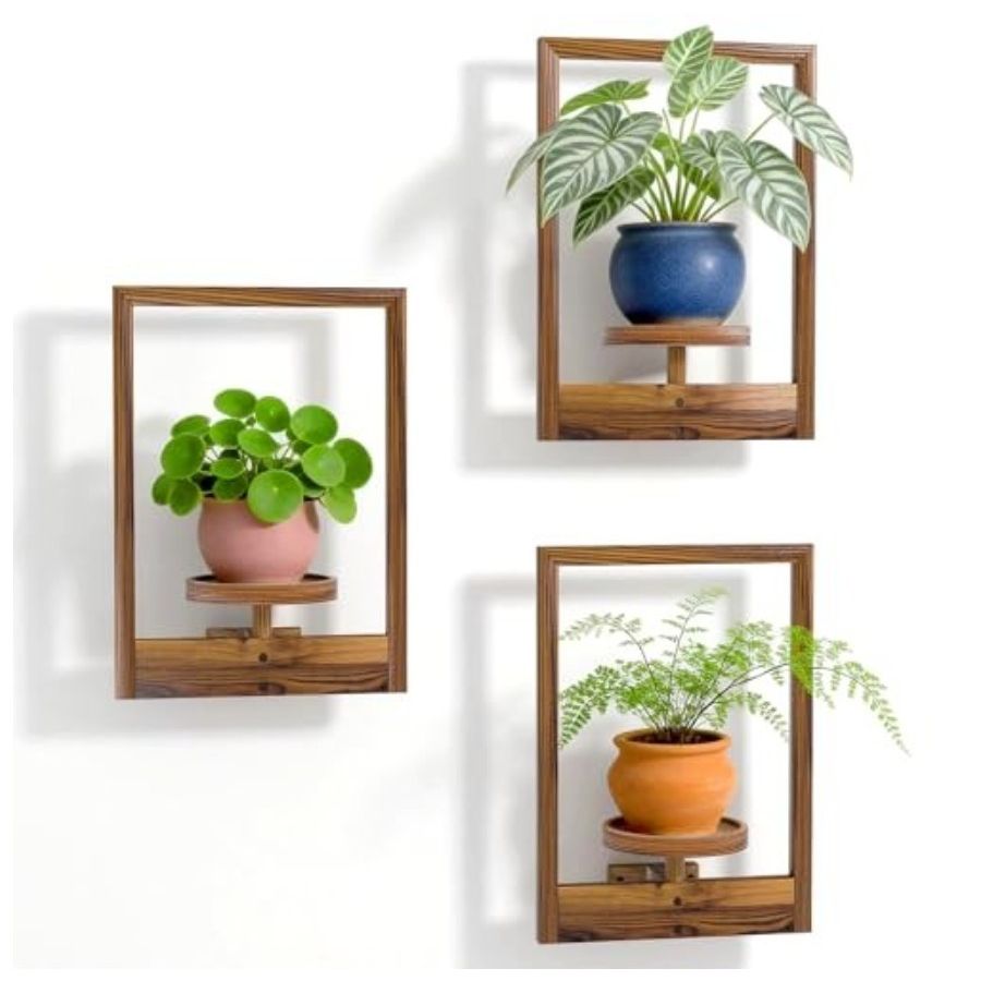 NATURE'S SOURCE, Plant Floating Shelves