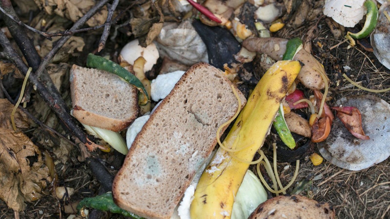 How to Compost Bread Safely, Step by Step