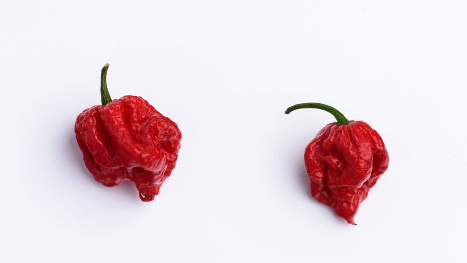 Carolina Reaper Hot Pepper Info  Growing Carolina Reaper Peppers |  Gardening Know How