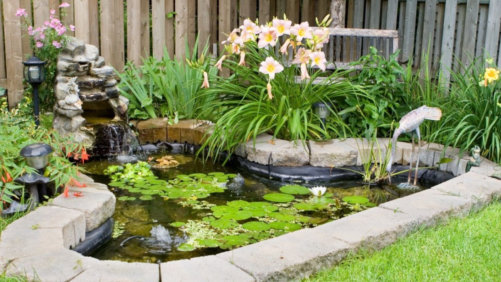 DIY Water Gardens: Designing A Backyard Water Garden | Gardening Know How