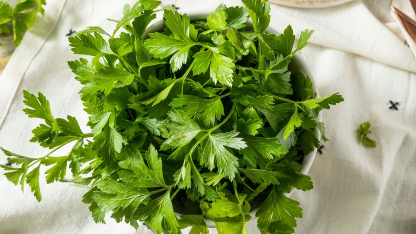 Italian Flat Leaf Parsley: What Does Italian Parsley Look Like And How To  Grow It