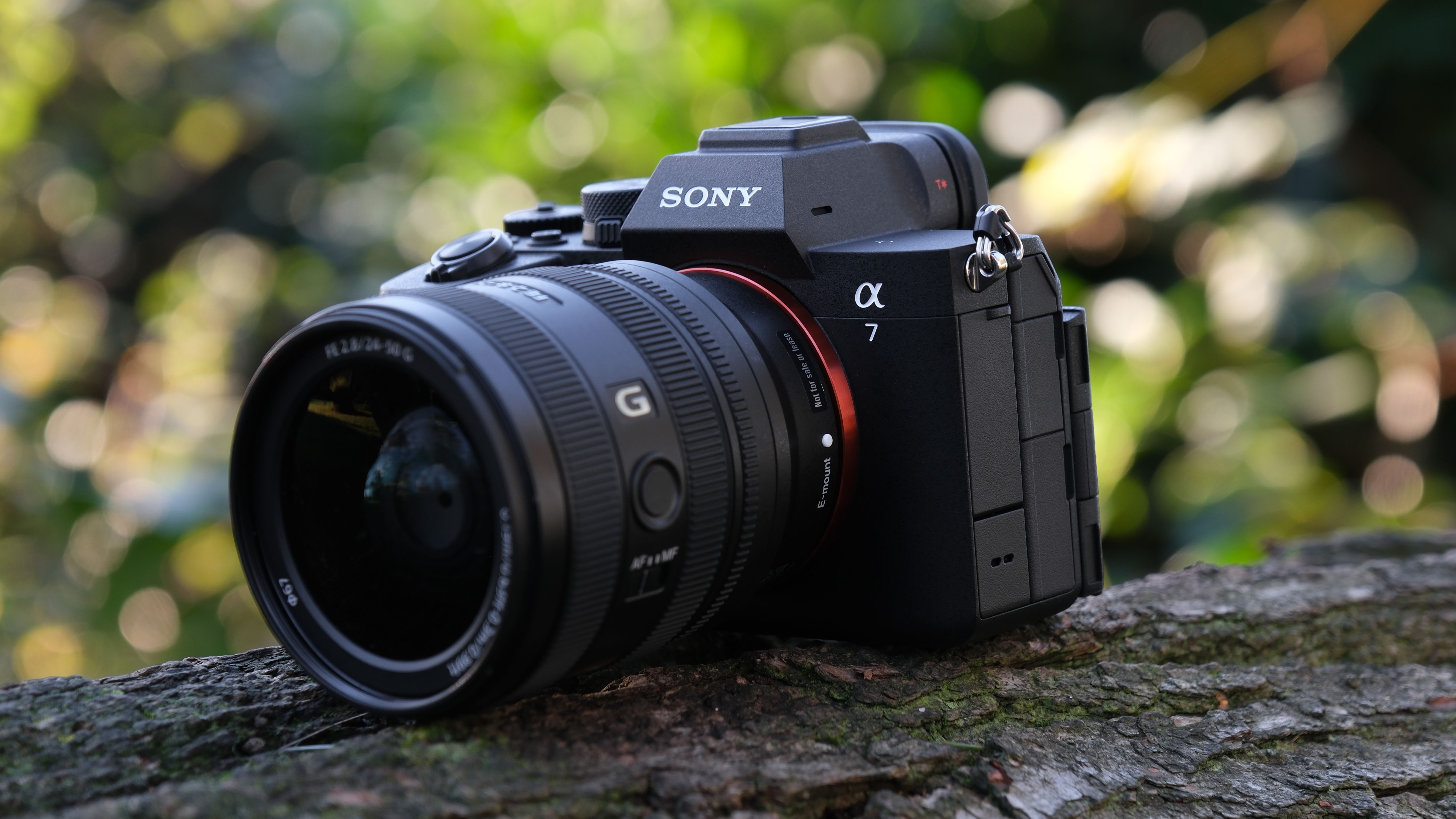 Sony A7 V camera with lens attached, on a tree branch