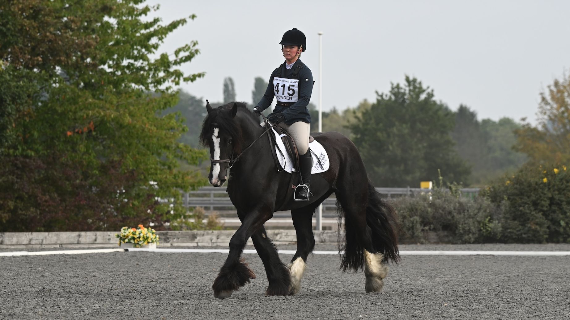 Rachel Valks riding Llanshay Blackboy in a dressage test