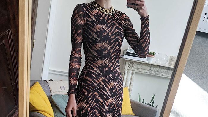 Topshop's Mesh Dress Now Comes in So Many Colours | Who What Wear