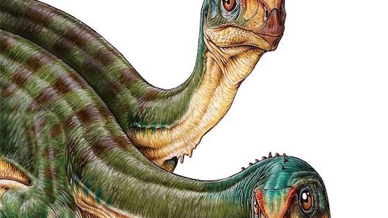 wyse・LAID・JURASSIC■EARLIEST MEMORIES Jurassic Park: Lost World Baby/Juvenile T-Rex Site B JP 42 W