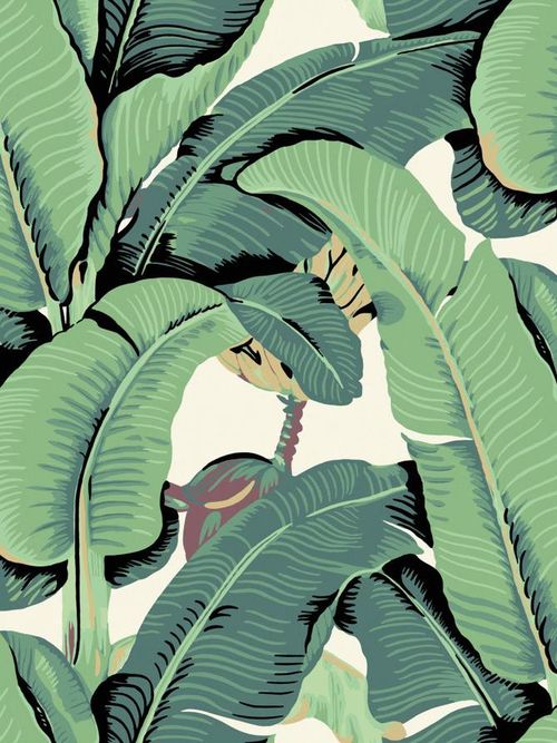Banana Leaf Wallpaper