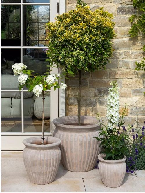 Morecote White Wash Terracotta Ribbed Plant Pots