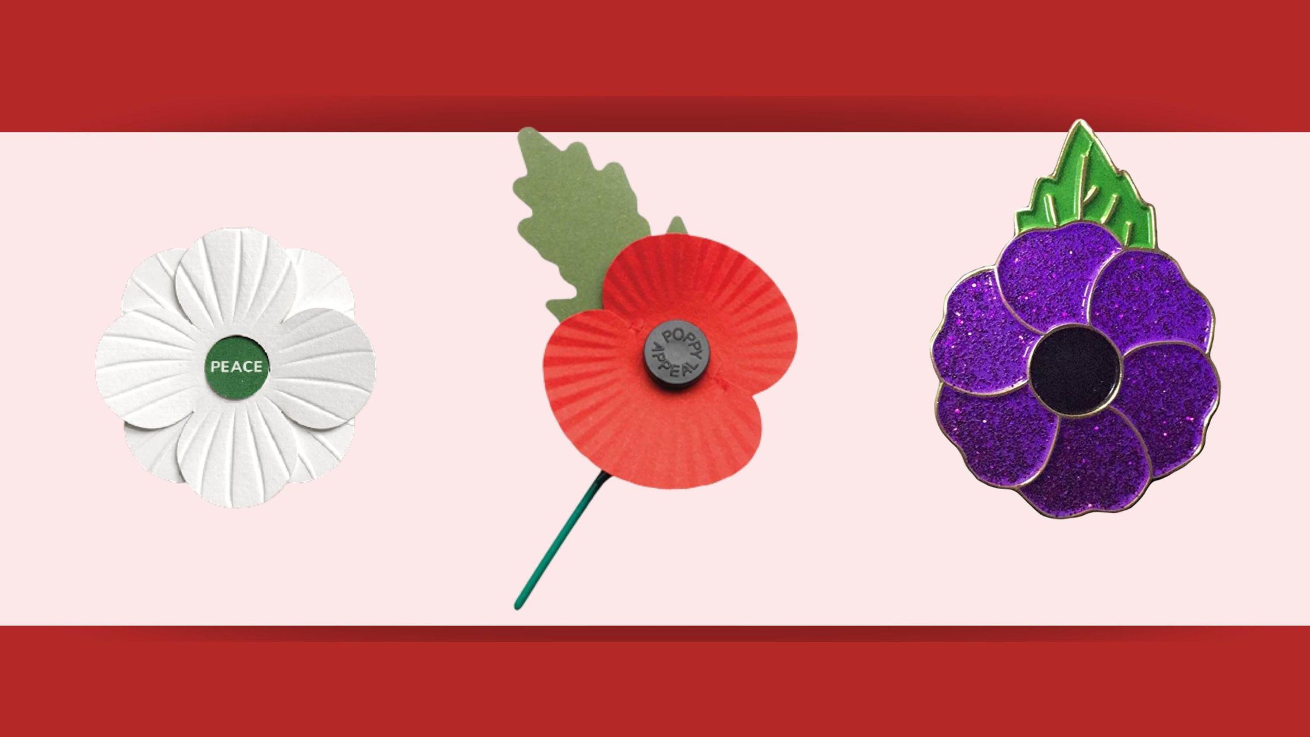 Why Is It Important To Wear A Poppy