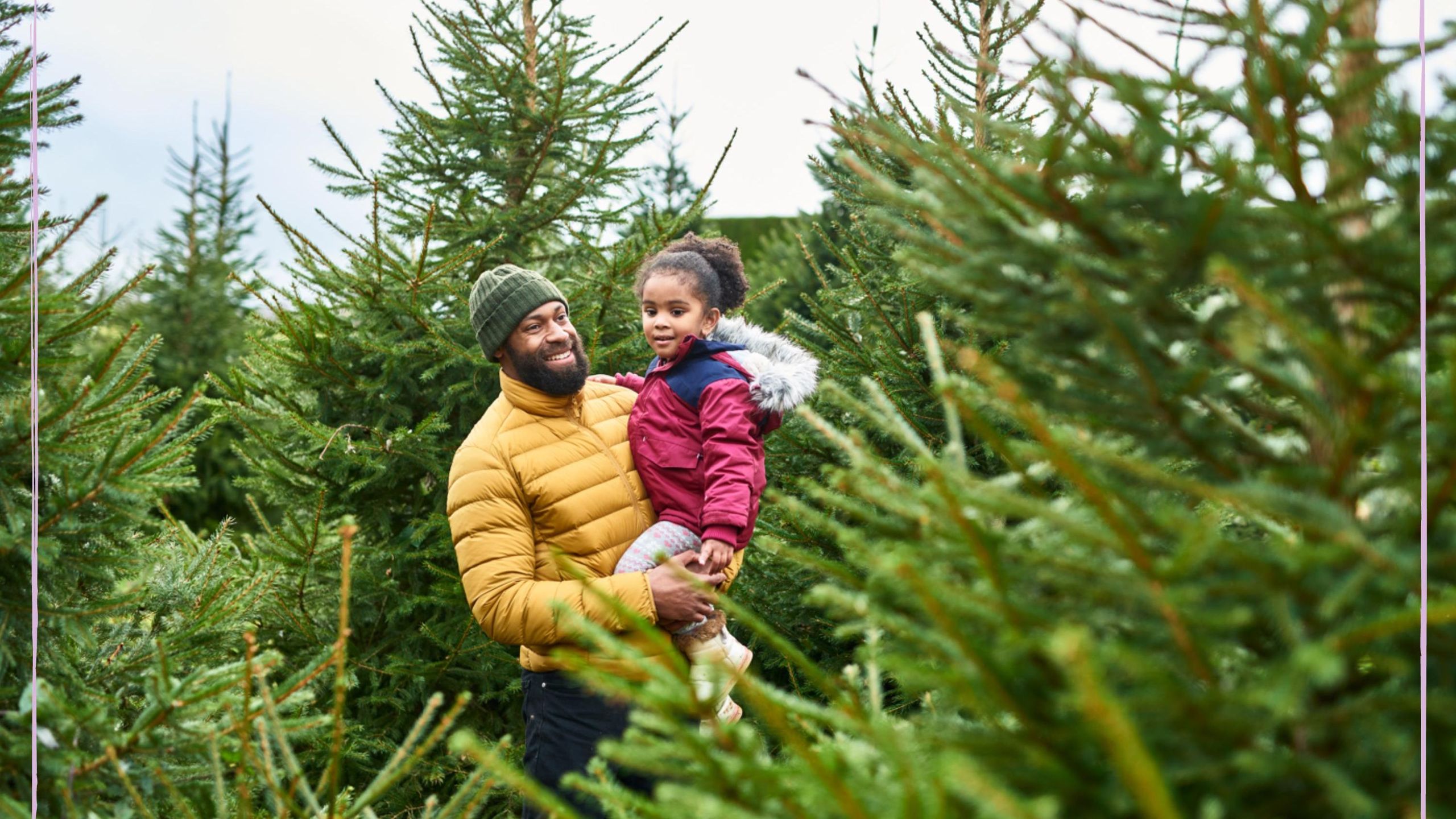 Best Christmas Tree Farm