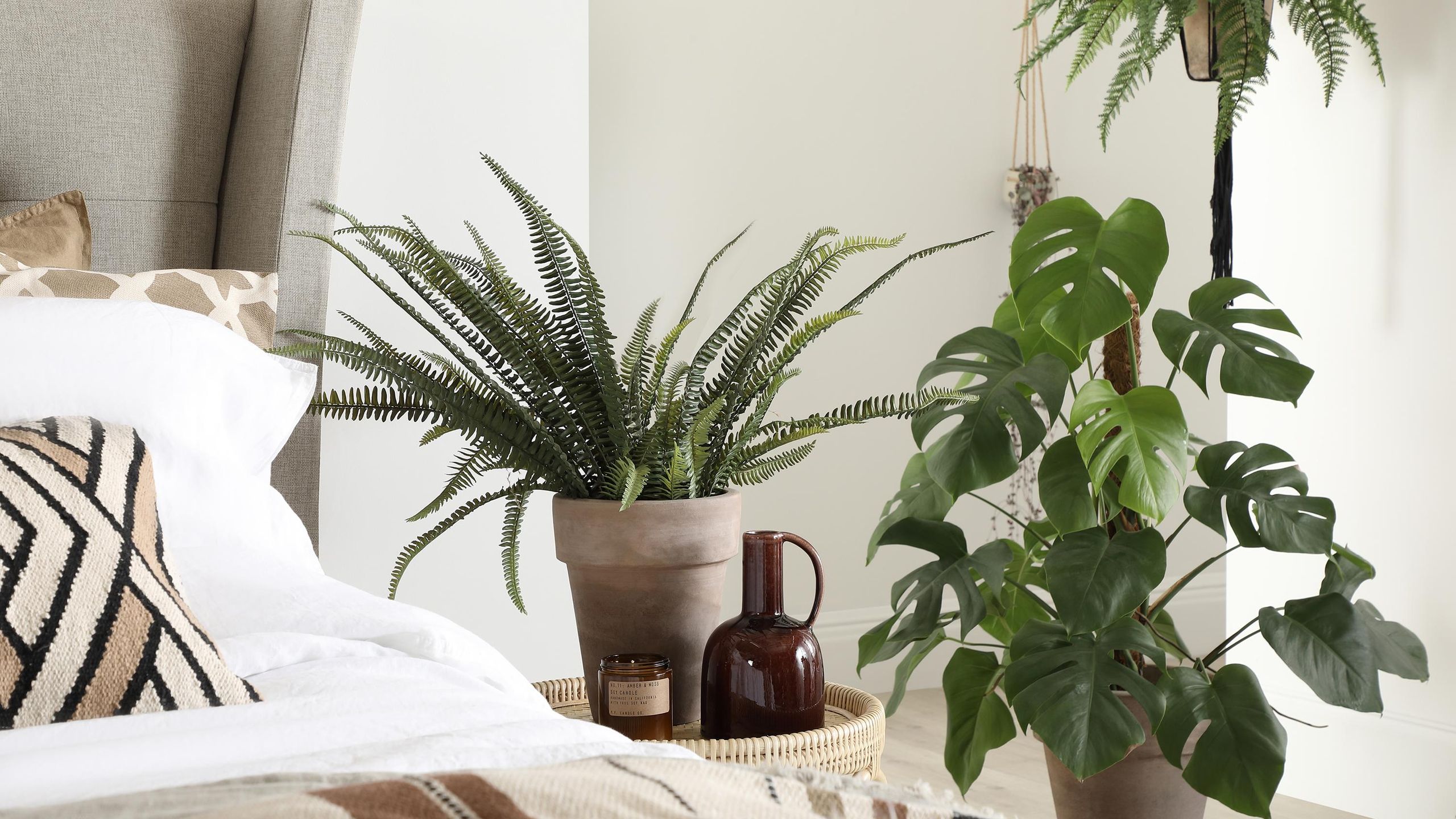 10 best bedroom plants for better air quality and a beautiful sleeping  space | Real Homes