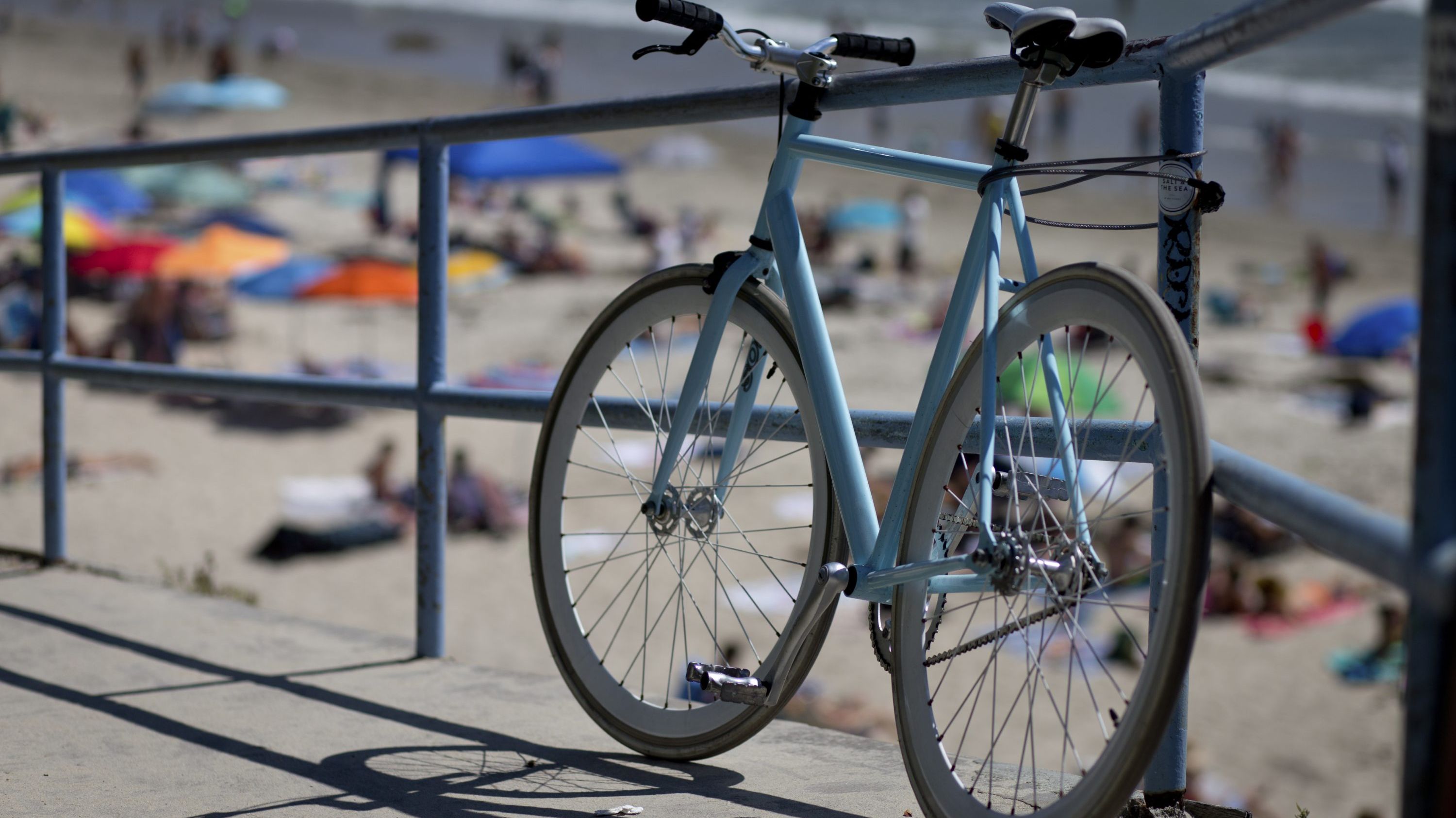 Set Up Single Speed Bike For Commuting Looking For A Reliable Ride