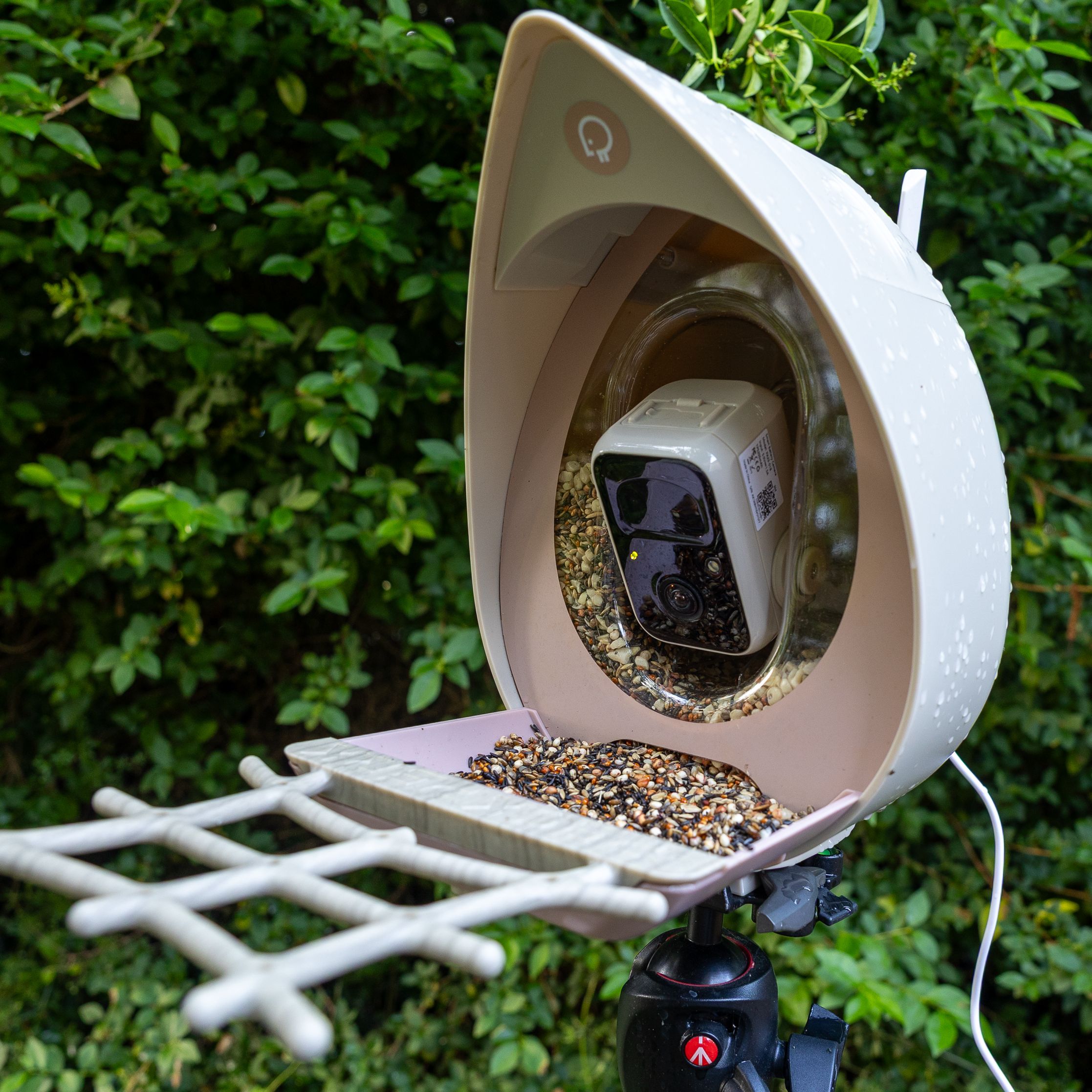 The PeckPerk bird feeder camera on a tripod on a wet day