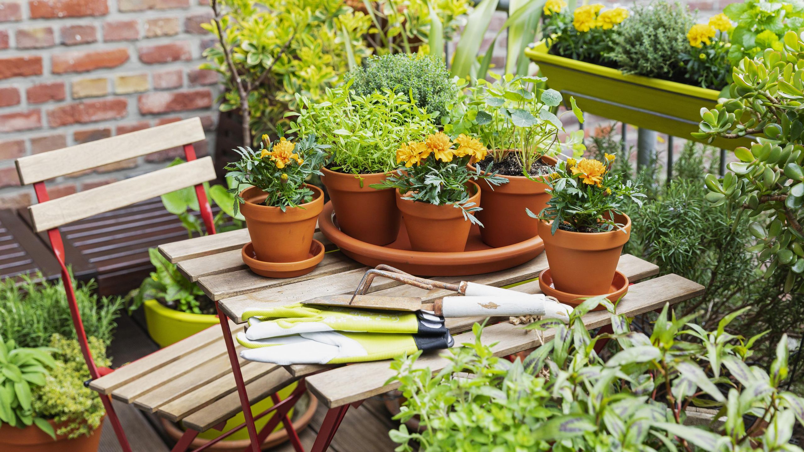 The best pot is the one that supports your watering habits and environment.