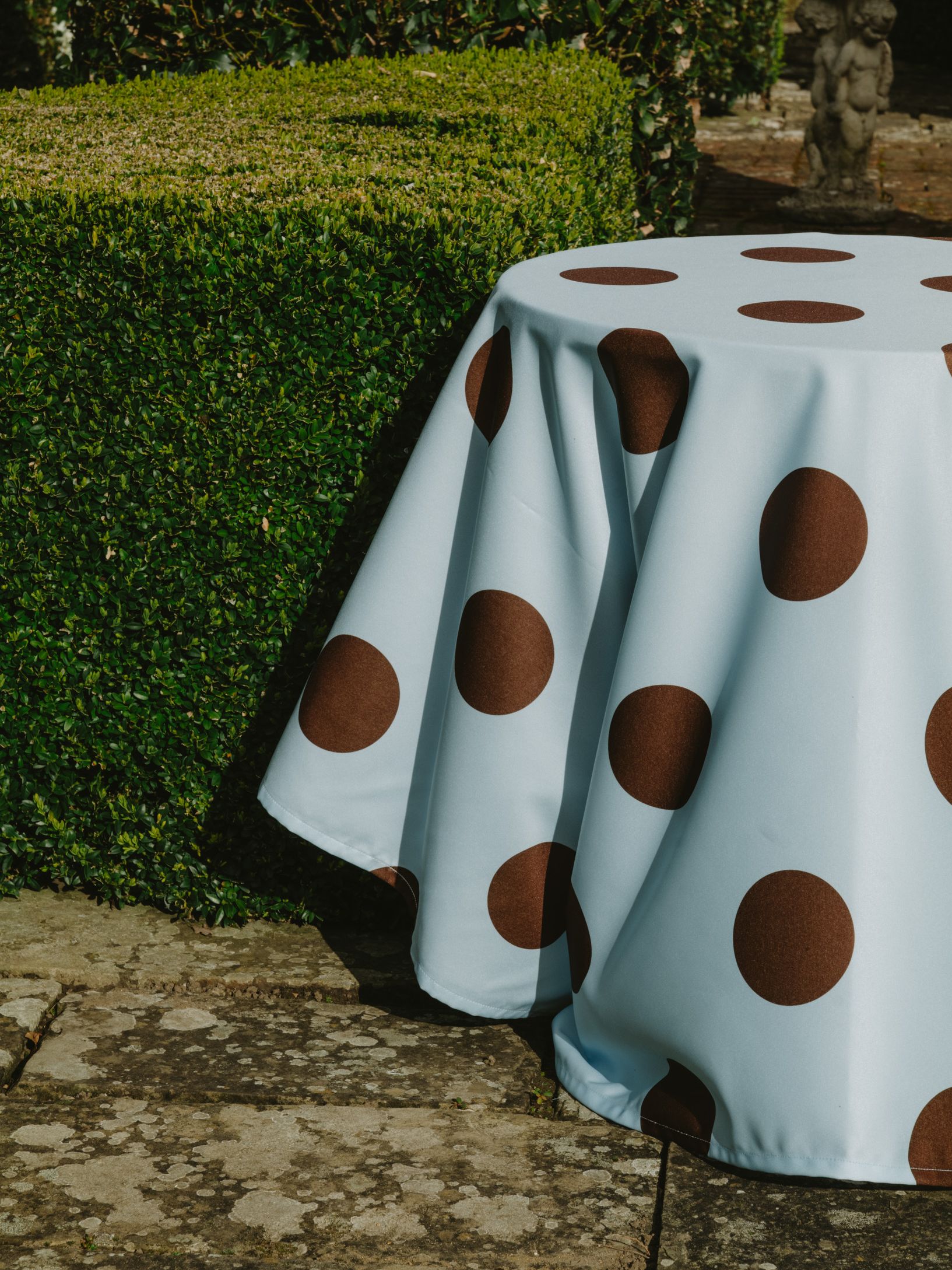 Image of a light blue and brown polka dot tablecloth on a table outside in a garden.