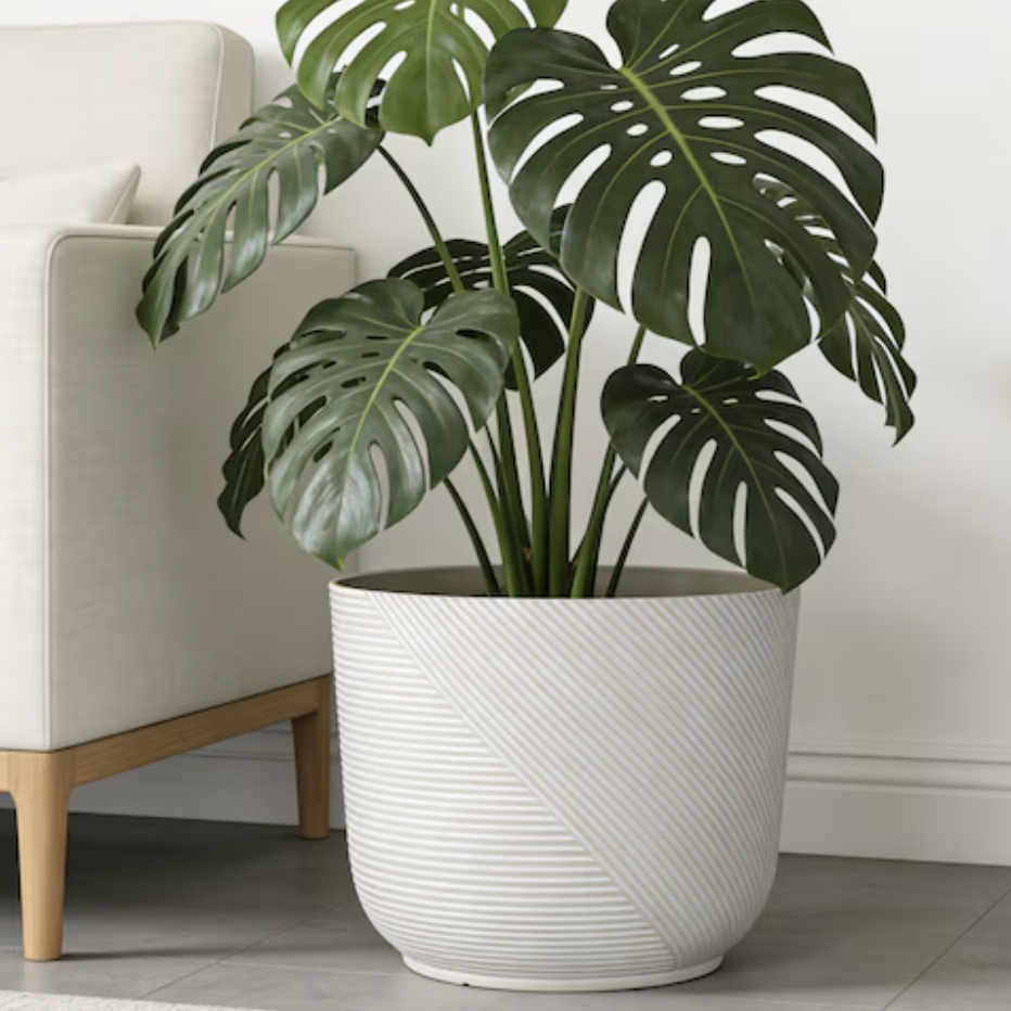 Lowe's , Ivory Resin Planter
