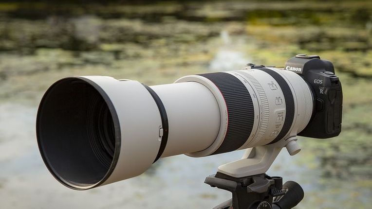 Canon RF 100-500mm f/4.5-7.1 L IS USM