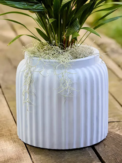 Fiber Concrete Barrel Pot