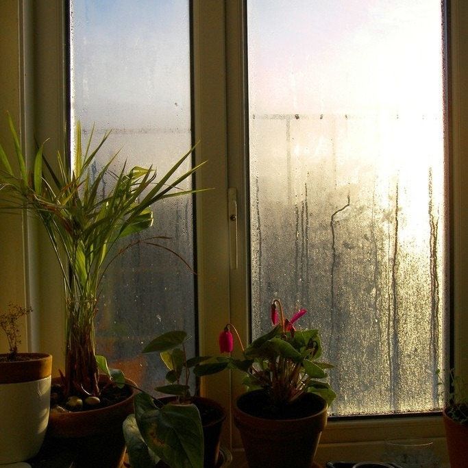 Reducing Humidity Indoors: What To Do When Humidity Is Too High