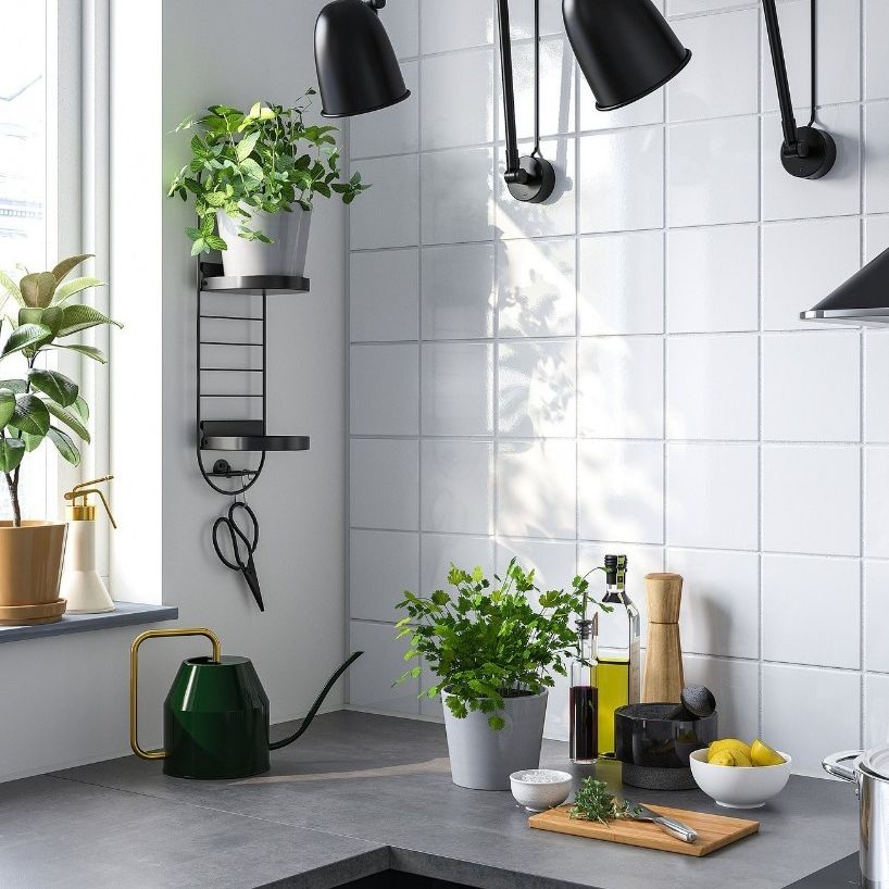 IKEA, SKUGGR&amp;Ouml;NA Wall-Mounted Plant Stand