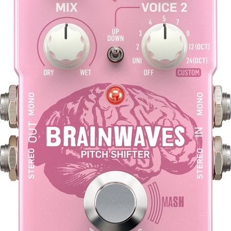 ギター TC Electronic Brainwaves Pitch Shifter TC Electronic Brainwaves VS EHX Pitch Fork | Shootout