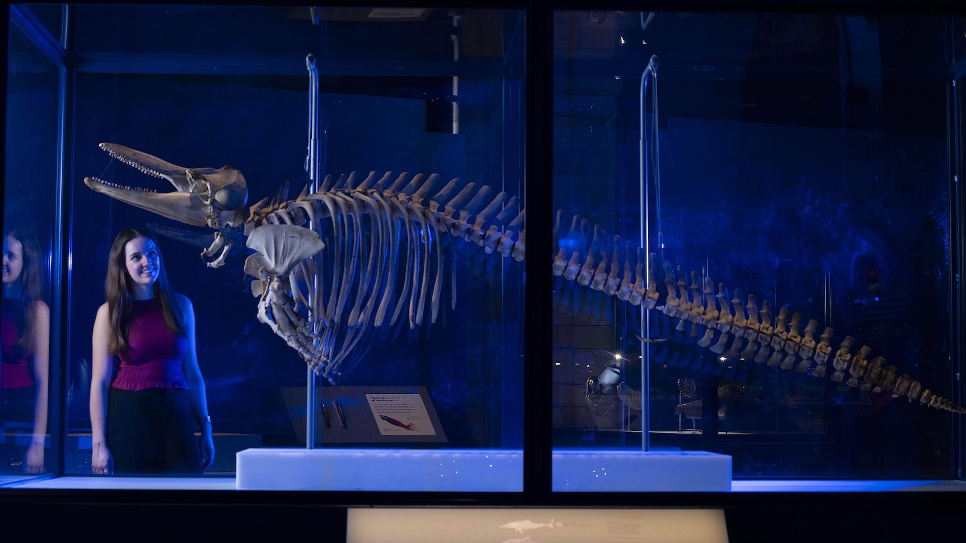 Natural History Museum