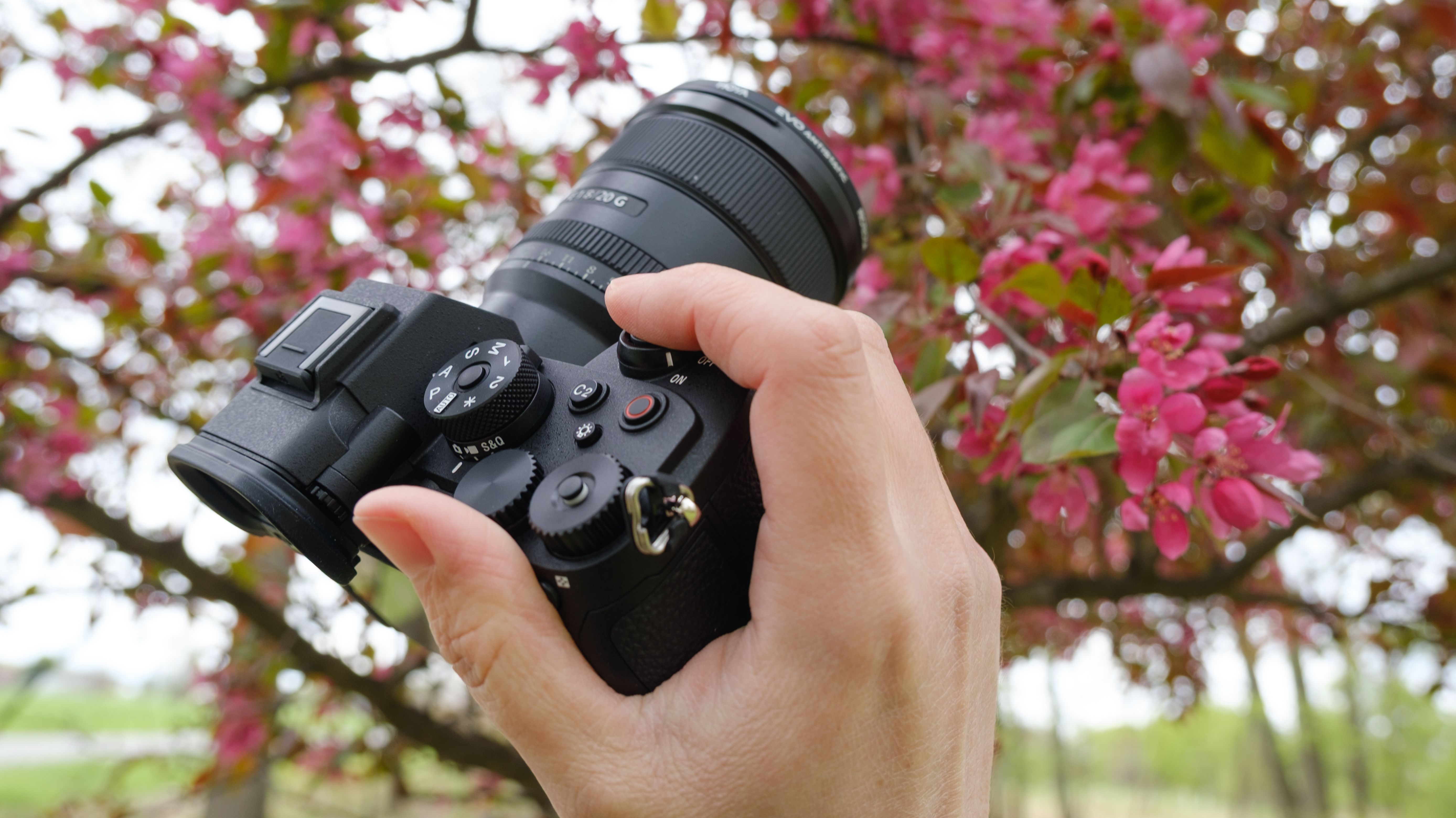 The Sony A7R VI photographed outdoors