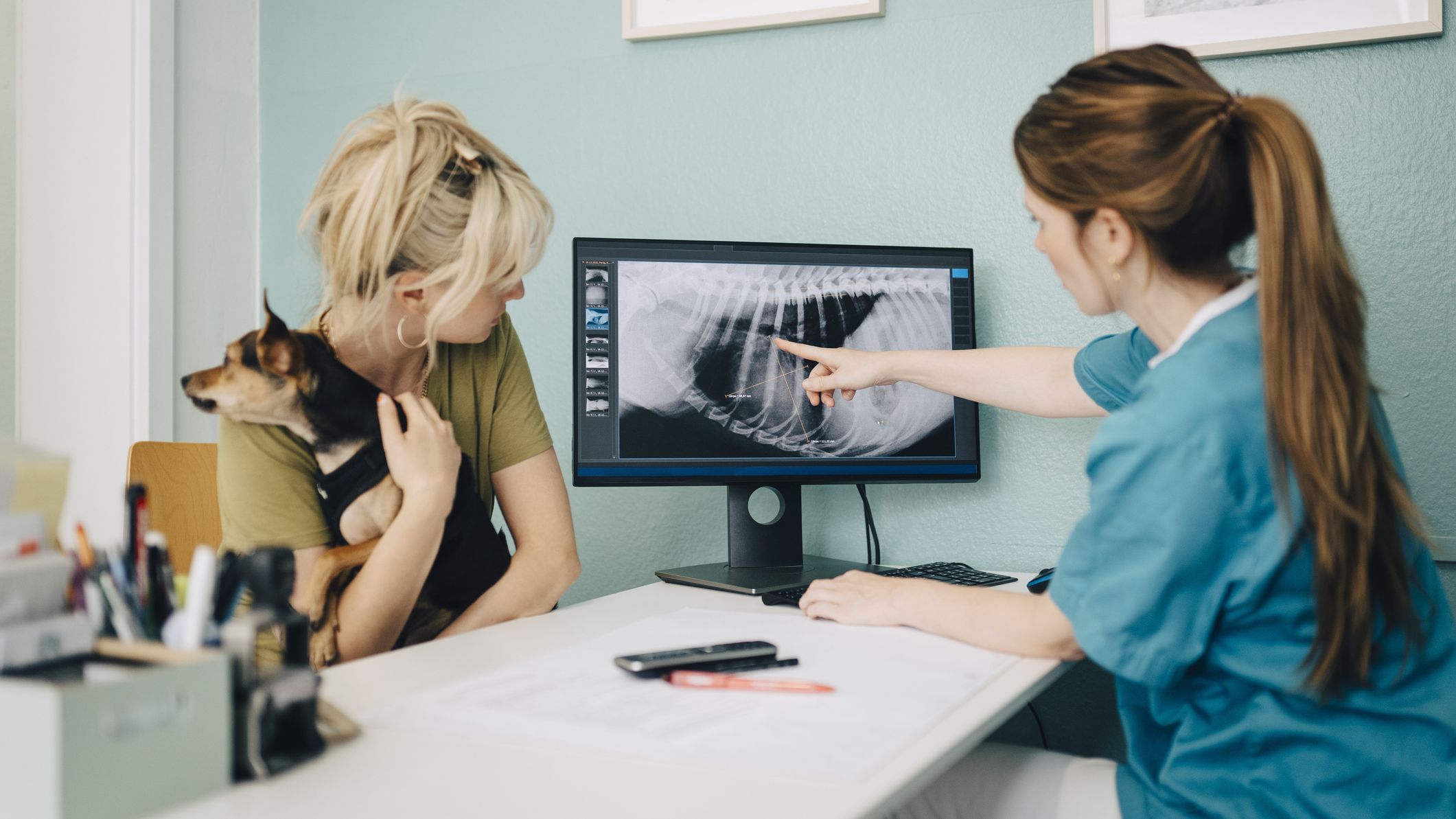 A vet goes over x-rays with dog owner.