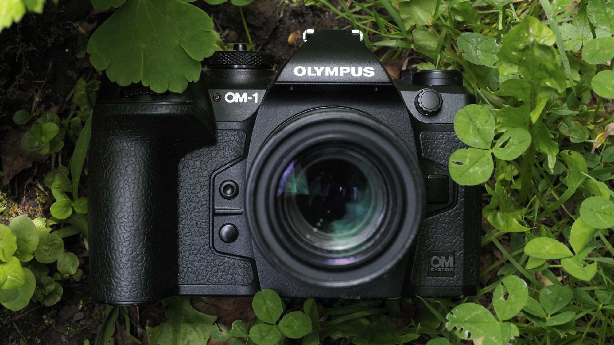 ★ OLYMPUS OM-1 + ★ MACRO 50mm Exc ] OLYMPUS OM-1 SLR 35mm+OM-SYSTEM ZUIKO AUTO-MACRO 50mm