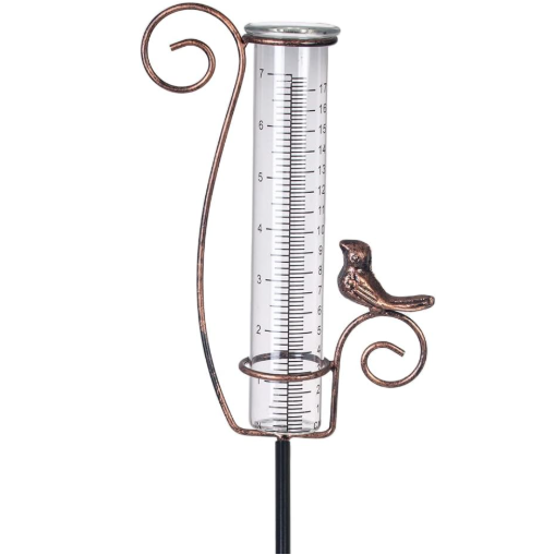 Outdoor Rain Gauge