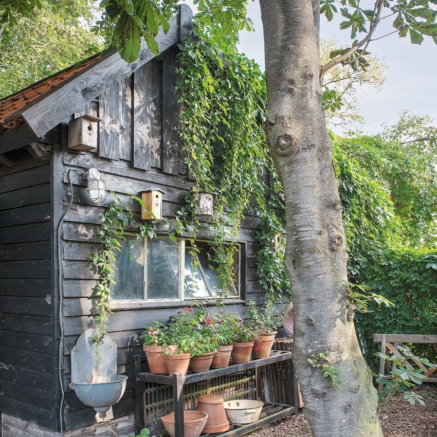 rustic handmade garden shed with bird boxes on the wall and potting table filled with terracotta pots