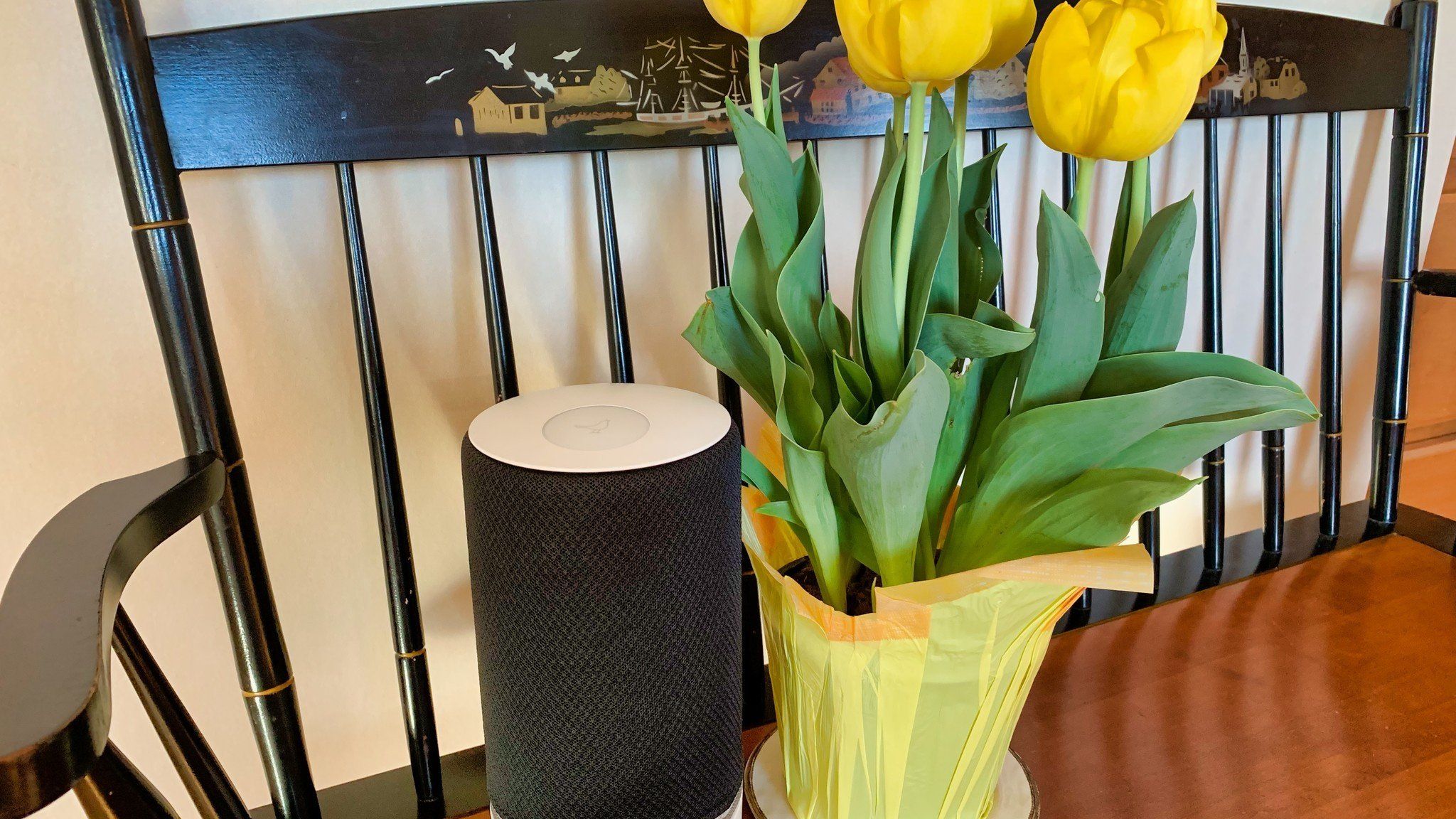 Libratone ZIPP 2個セット黒と白 充電器付き ZIPP 2 Bundle - Double the Sound – Libratone