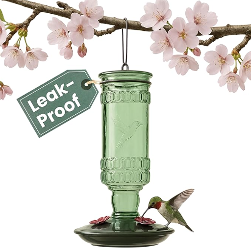 Glass Bottle Hummingbird Feeder
